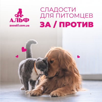 Сладости для питомцев
